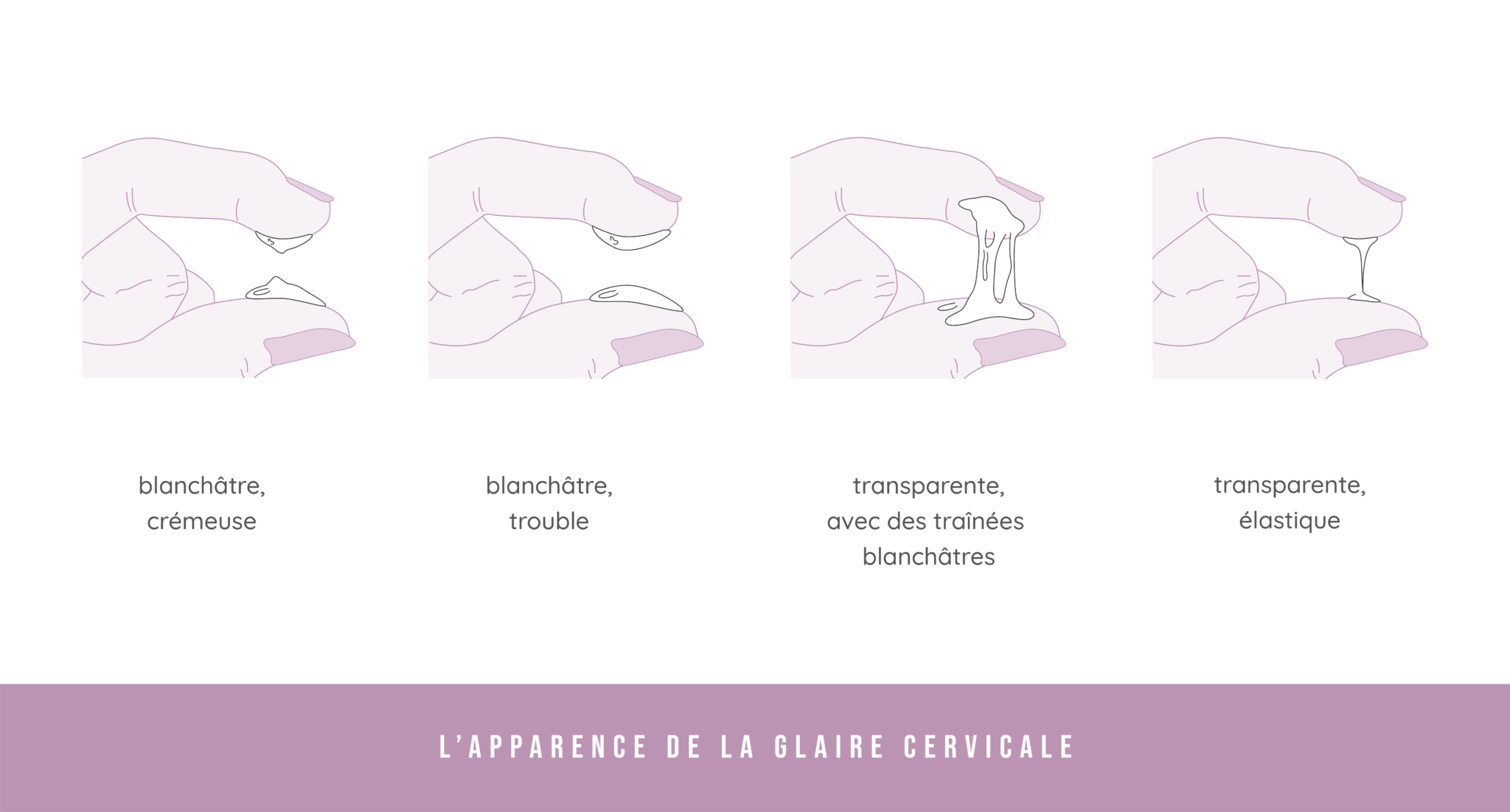 Glaire cervical, ovulation : la décoder pour tomber enceinte