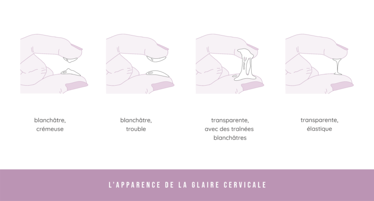 Glaire cervical, ovulation : la décoder pour tomber enceinte